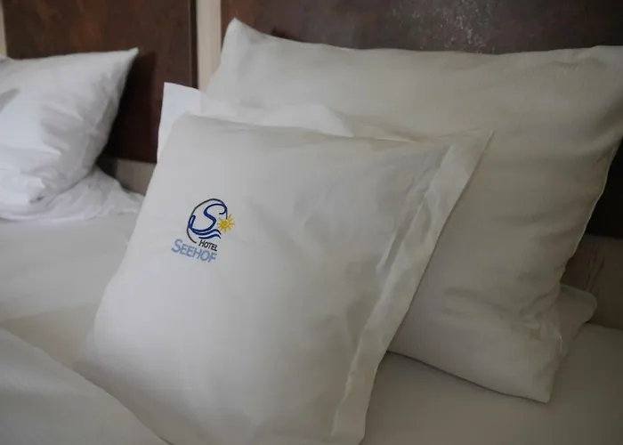 & Gaestehaus Seehof 3* Meersburg