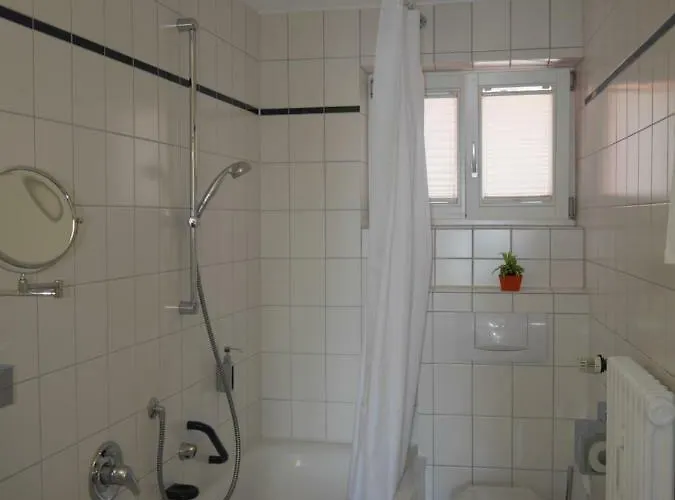 Szálloda & Gaestehaus Seehof Meersburg